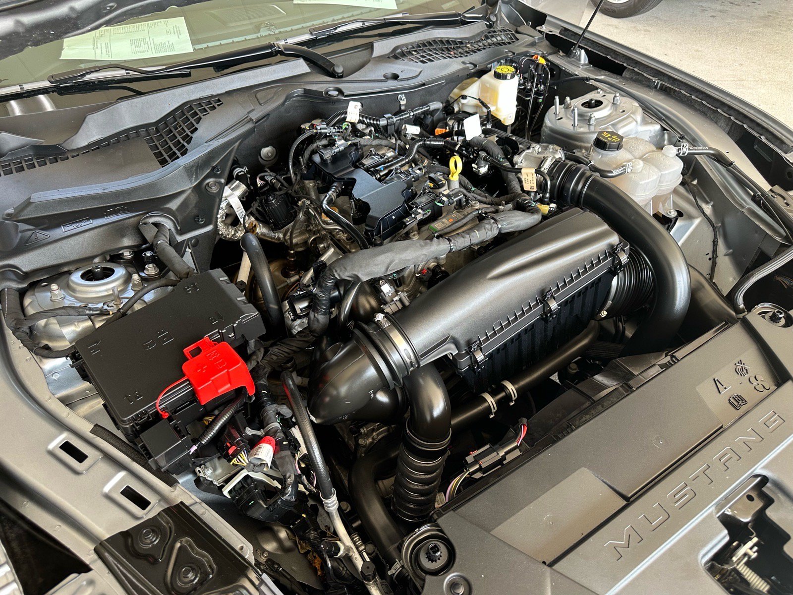 Certified 2025 Ford Mustang Premium RWD image 14