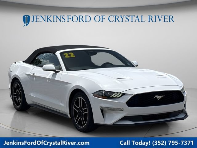 Certified 2022 Ford Mustang Premium RWD image 1