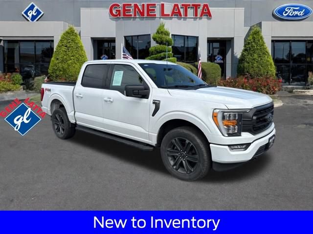 Certified 2023 Ford F150 XLT w/ Equipment Group 302A High image 1