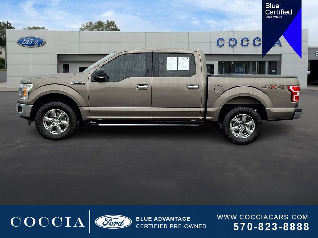 Certified 2019 Ford F150 XLT w/ Equipment Group 302A Luxury image 2
