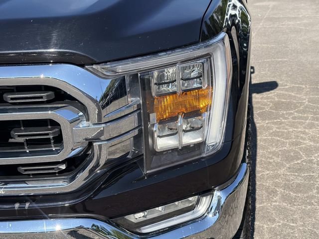 Certified 2023 Ford F150 XLT w/ Equipment Group 302A High AWD/4WD image 11