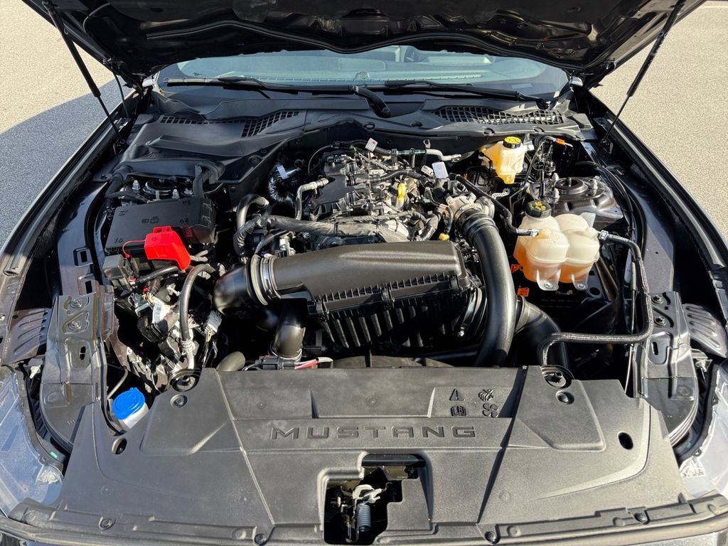 Certified 2024 Ford Mustang Coupe RWD image 18