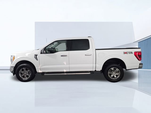 Certified 2023 Ford F150 XLT w/ Equipment Group 302A High image 4