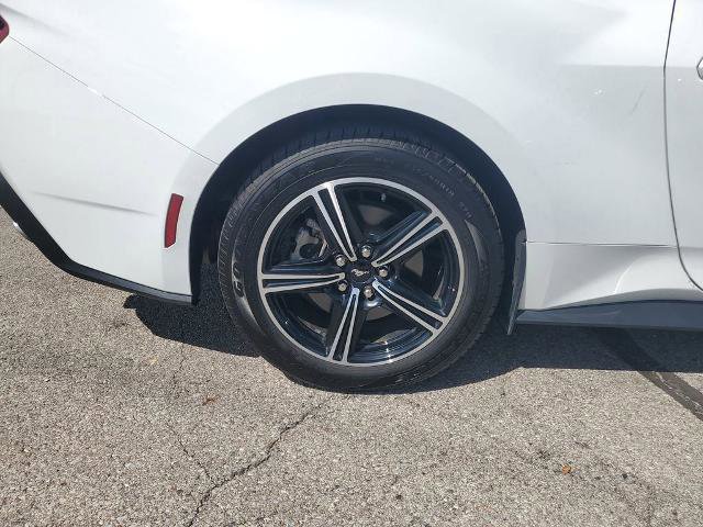 Certified 2024 Ford Mustang Premium image 6