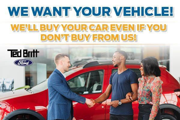 Certified 2022 Ford Escape SEL w/ SEL Stealth AWD Package image 10