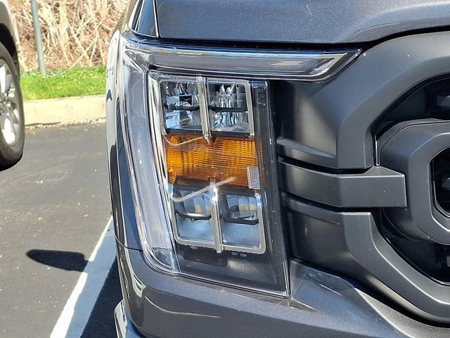 Certified 2023 Ford F150 XLT w/ Equipment Group 302A High image 8