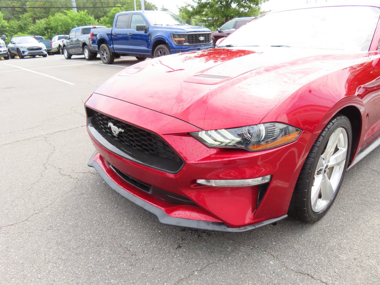 Certified 2018 Ford Mustang Premium RWD image 10