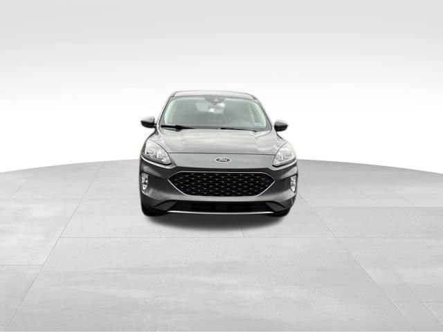 Certified 2022 Ford Escape SEL image 7