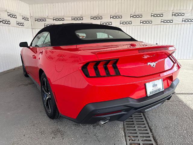 Certified 2025 Ford Mustang Premium RWD image 2
