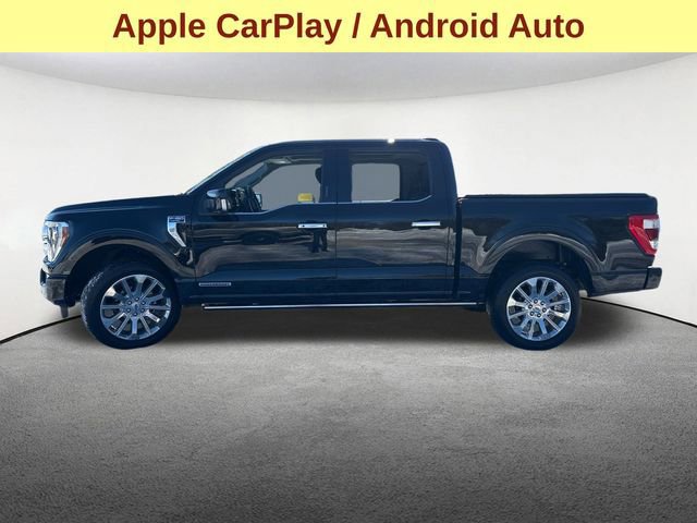 Certified 2023 Ford F150 Limited image 2