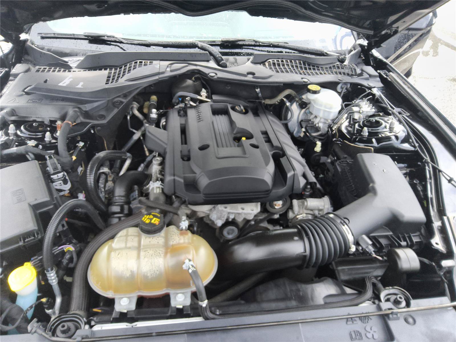 Certified 2019 Ford Mustang Coupe w/ Equipment Group 101A RWD image 13