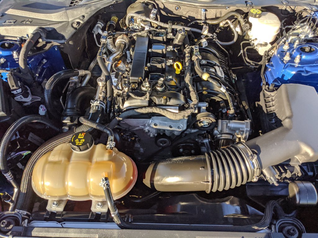 Certified 2023 Ford Mustang Premium w/ Equipment Group 201A RWD image 20