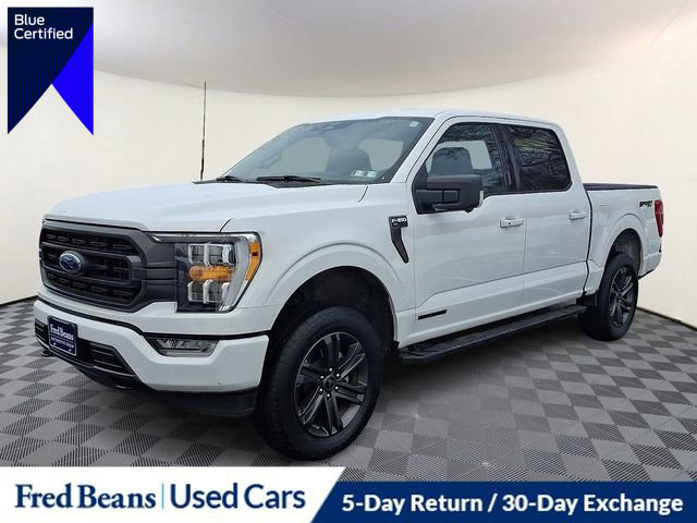 Certified 2023 Ford F150 XLT w/ Equipment Group 302A High image 1