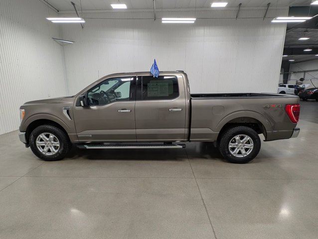 Certified 2023 Ford F150 XLT w/ Equipment Group 302A High