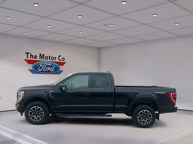 Certified 2023 Ford F150 XLT w/ Equipment Group 302A High AWD/4WD image 8