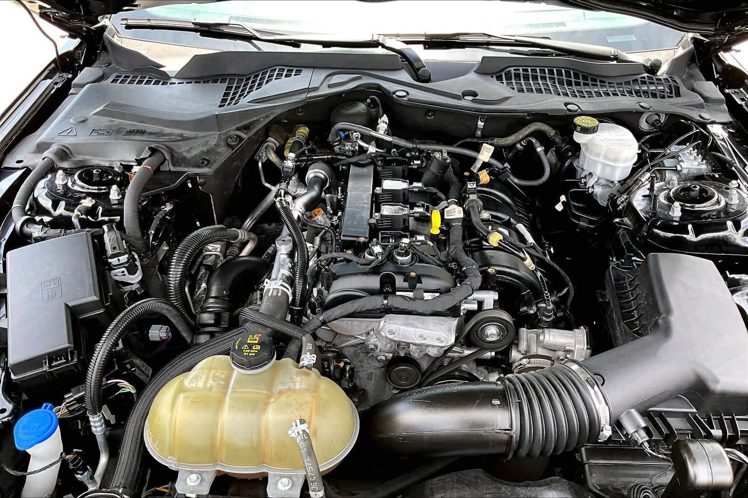 Certified 2023 Ford Mustang Coupe w/ Equipment Group 101A RWD image 32