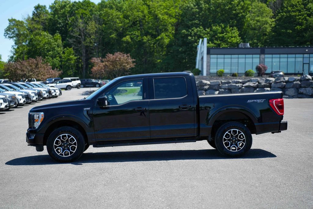 Certified 2023 Ford F150 XLT w/ Equipment Group 302A High AWD/4WD image 8
