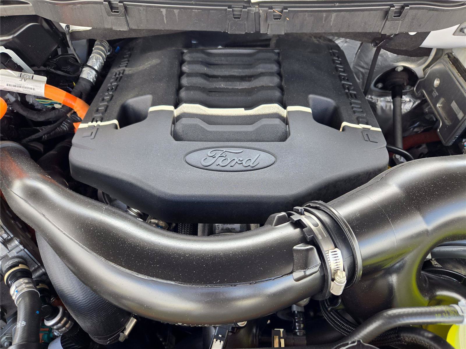 Certified 2023 Ford F150 XLT w/ Equipment Group 302A High AWD/4WD image 14