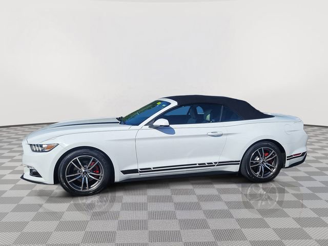 Certified 2017 Ford Mustang Premium RWD image 2