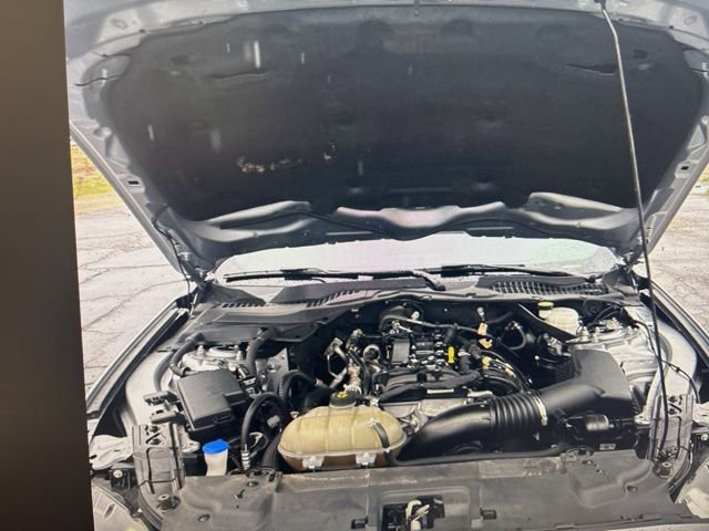 Certified 2021 Ford Mustang EcoBoost w/ Equipment Group 101A image 32