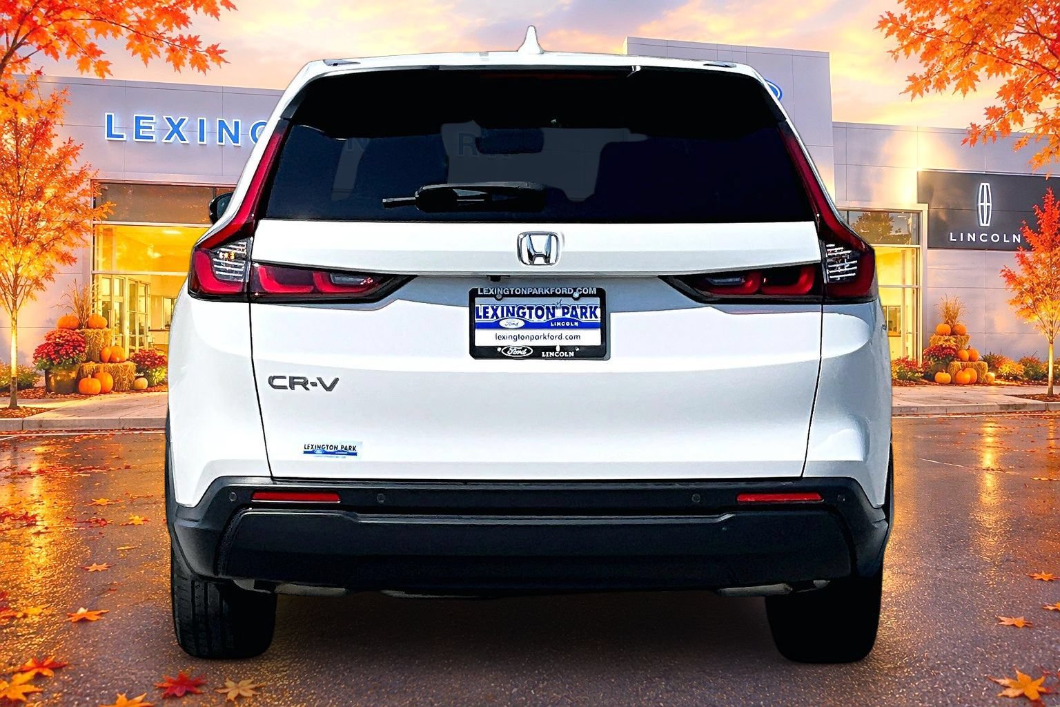 Used 2024 Honda CR-V EX-L image 6