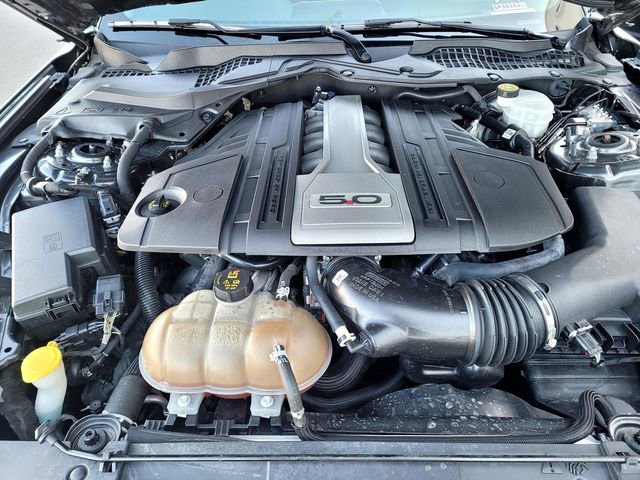 Certified 2019 Ford Mustang GT RWD image 20