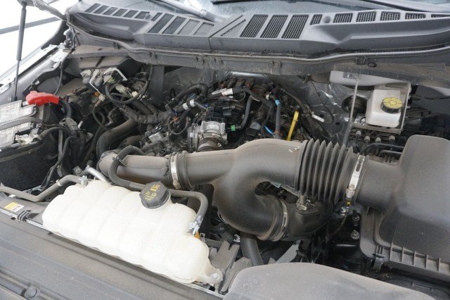 Certified 2025 Ford F150 STX w/ Equipment Group 200A RWD image 38