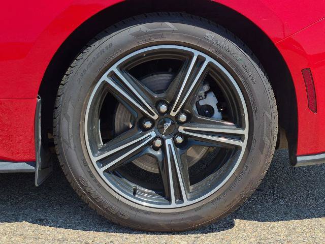 Certified 2024 Ford Mustang Premium RWD image 11