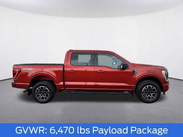 Certified 2023 Ford F150 XLT w/ Equipment Group 302A High AWD/4WD image 10