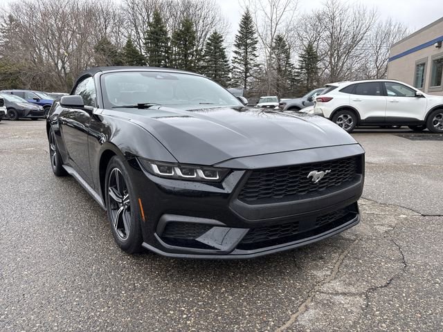 Certified 2024 Ford Mustang Premium image 2