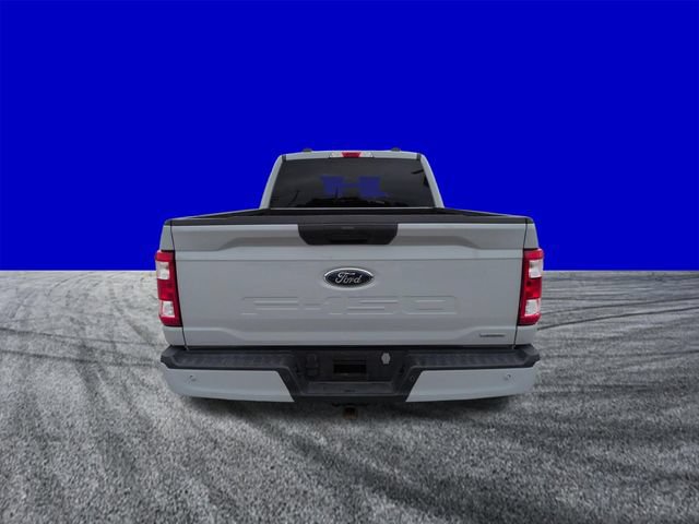 Certified 2023 Ford F150 XL w/ STX Appearance Package RWD image 5