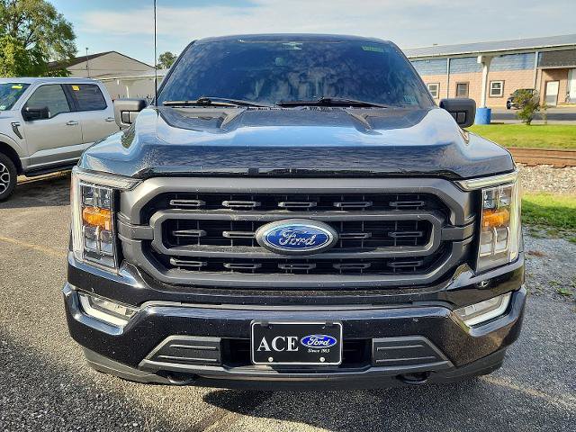 Certified 2023 Ford F150 XLT w/ Equipment Group 302A High AWD/4WD image 2