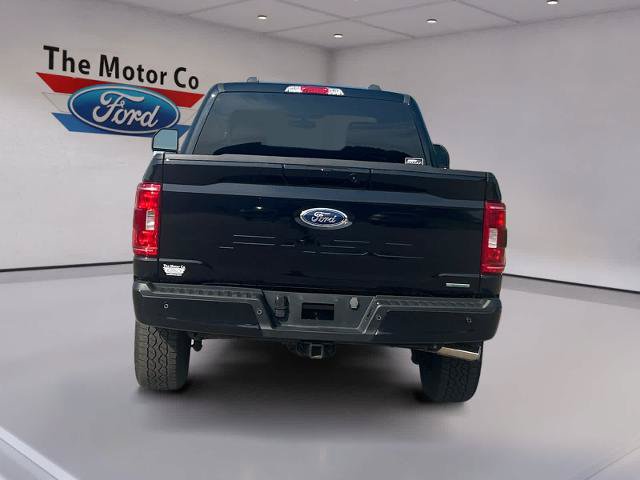 Certified 2023 Ford F150 XLT w/ Equipment Group 302A High AWD/4WD image 6