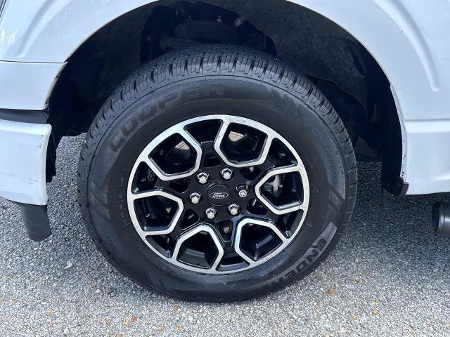 Certified 2023 Ford F150 XL w/ STX Appearance Package RWD image 4