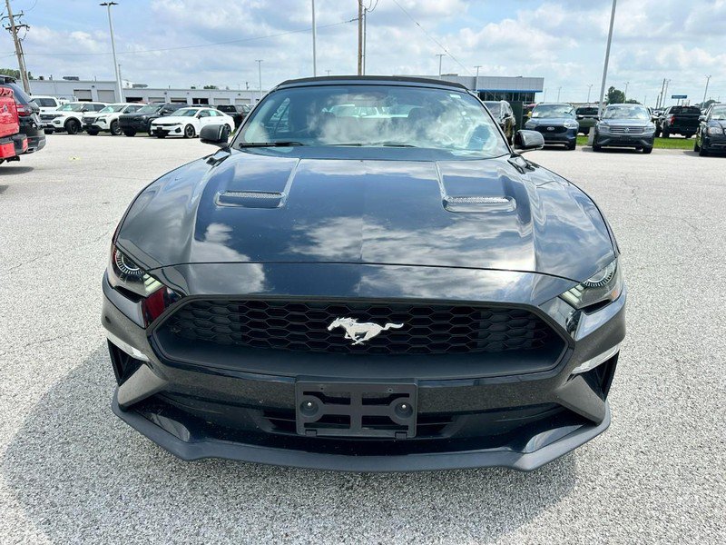 Certified 2019 Ford Mustang Premium w/ Equipment Group 201A RWD image 8