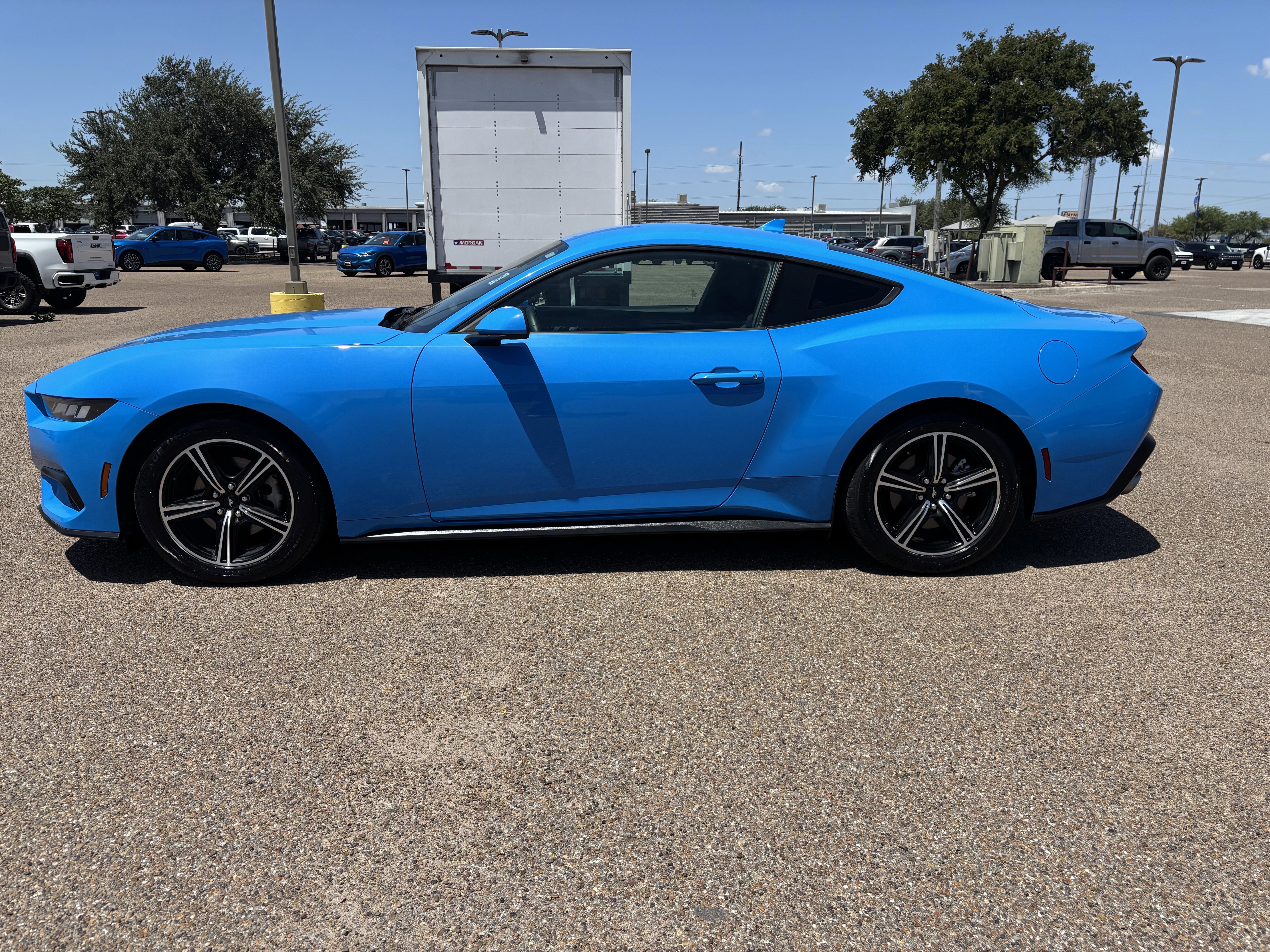Certified 2024 Ford Mustang Coupe image 3
