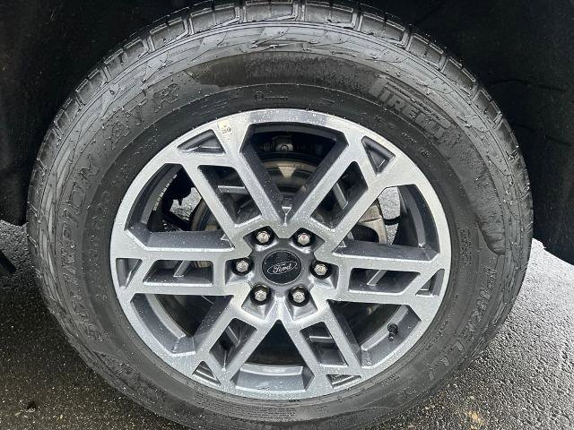 Certified 2025 Ford Expedition Active image 13