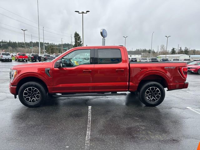 Certified 2023 Ford F150 XLT w/ Equipment Group 302A High image 5