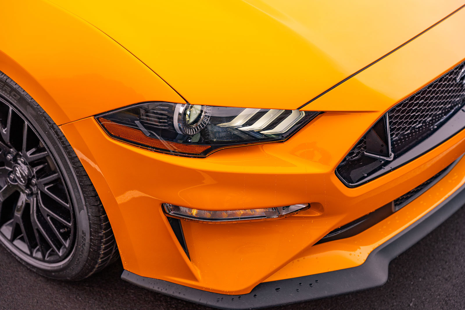 Certified 2018 Ford Mustang GT Premium w/ GT Performance Package RWD image 11