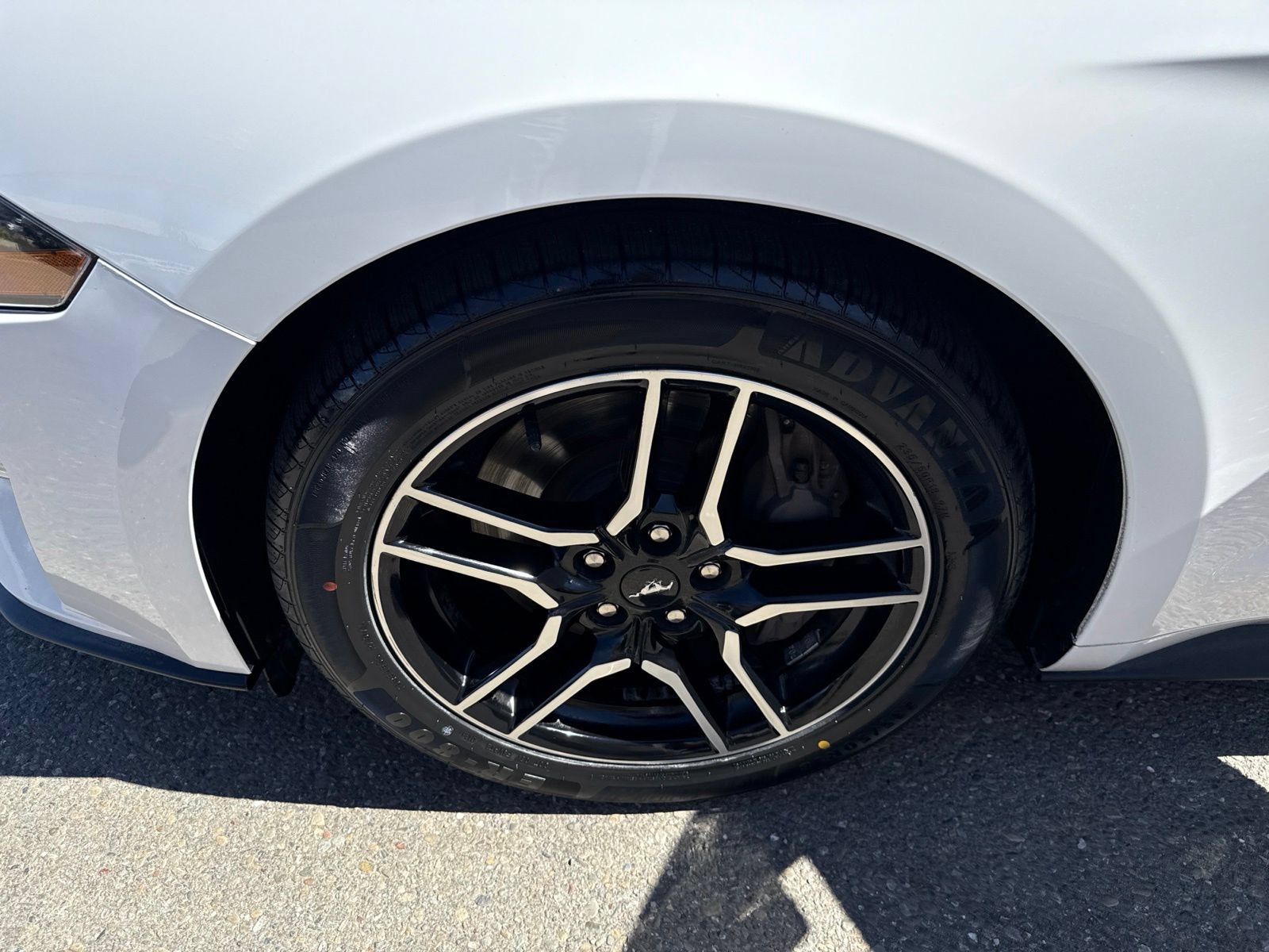 Certified 2019 Ford Mustang GT w/ Equipment Group 301A RWD image 19