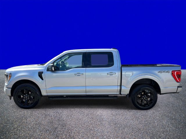 Certified 2023 Ford F150 XLT w/ Equipment Group 302A High AWD/4WD image 6