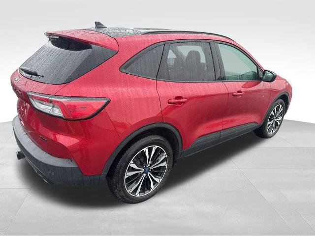 Certified 2022 Ford Escape SEL w/ SEL Stealth AWD Package image 7