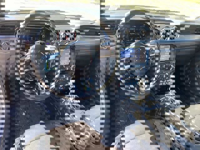 Certified 2018 Ford Mustang GT Premium w/ Equipment Group 401A RWD image 14