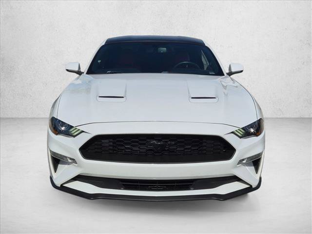 Certified 2019 Ford Mustang Premium w/ Equipment Group 201A RWD image 2