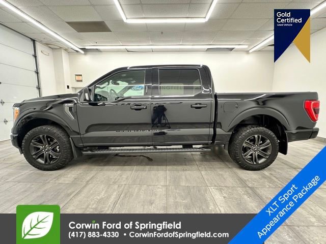 Certified 2021 Ford F150 XLT w/ Equipment Group 302A High image 2