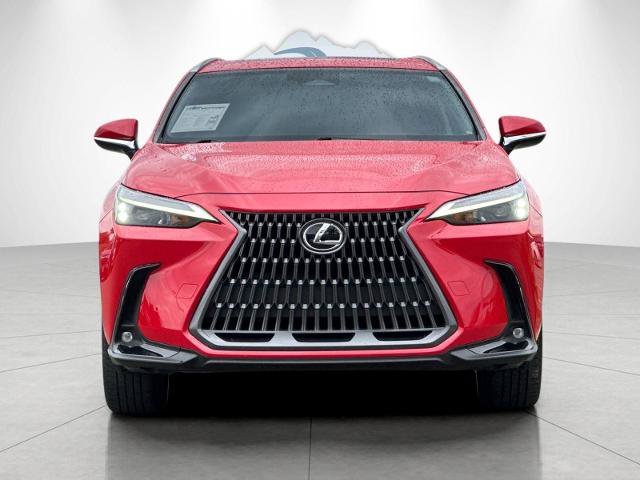 Used 2023 Lexus NX 350 AWD w/ Cold Area Package image 8