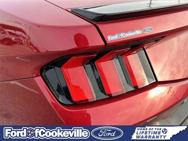 Certified 2024 Ford Mustang Premium image 11