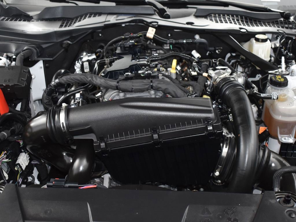 Certified 2024 Ford Mustang Premium image 13