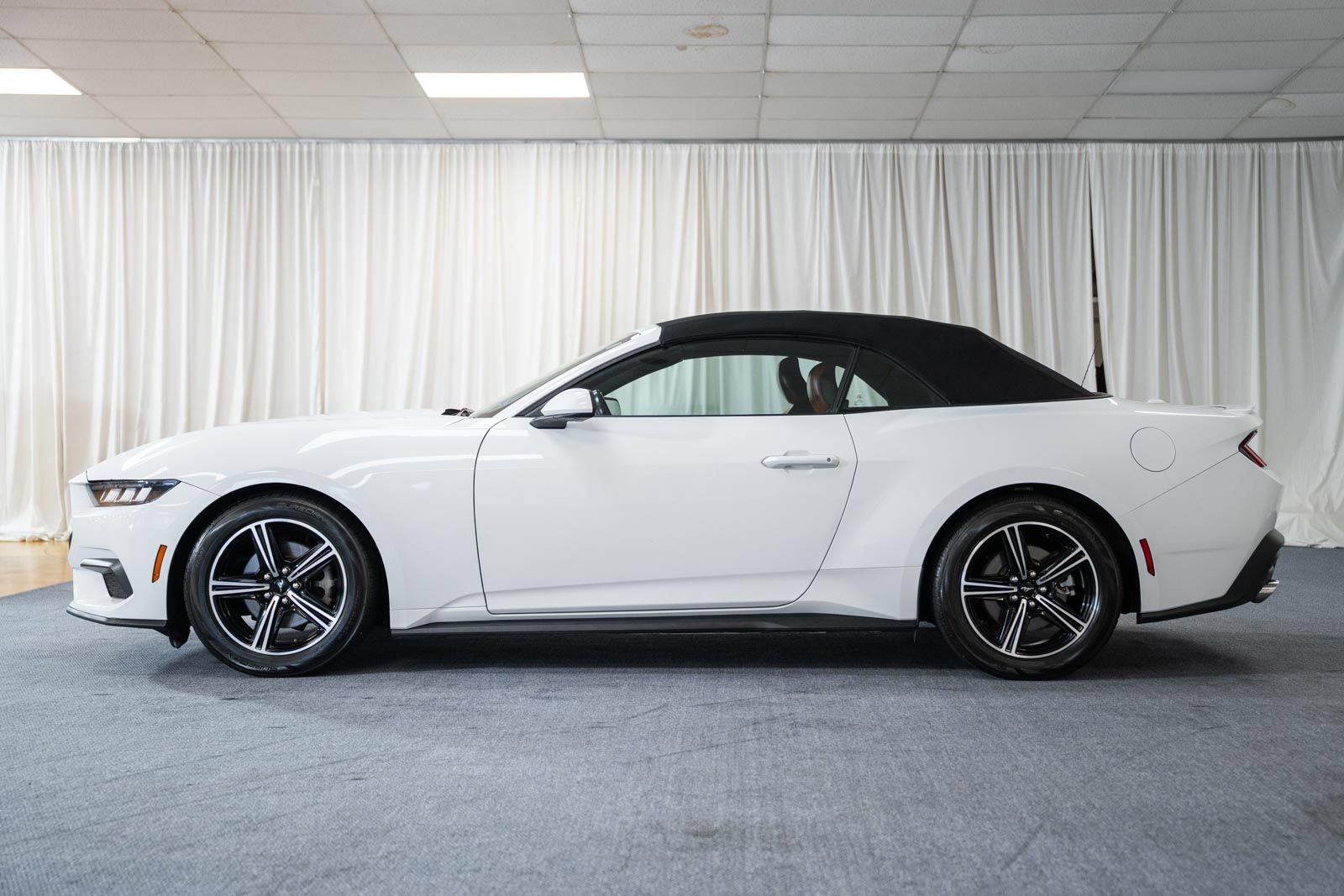 Certified 2024 Ford Mustang Premium RWD image 4