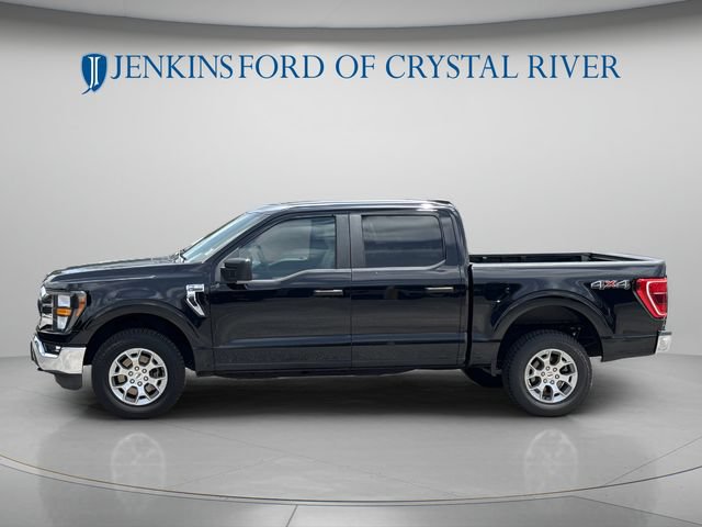 Certified 2023 Ford F150 XLT AWD/4WD image 9